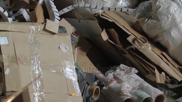 Big Factory For Recycling Paper and Carboard. - Footage, Video