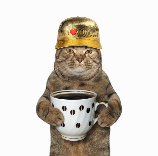 Kat met kopje koffie 2 - Foto, afbeelding