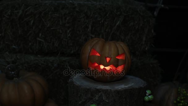 The evil pumpkin, the holiday of Halloween and the Day of All Saints. Pumpkin Jack burning lantern. - Footage, Video