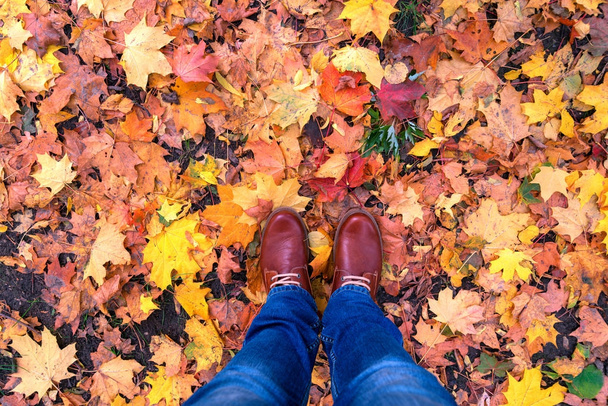 autumn boots leaves background fashion trendy style - Photo, Image