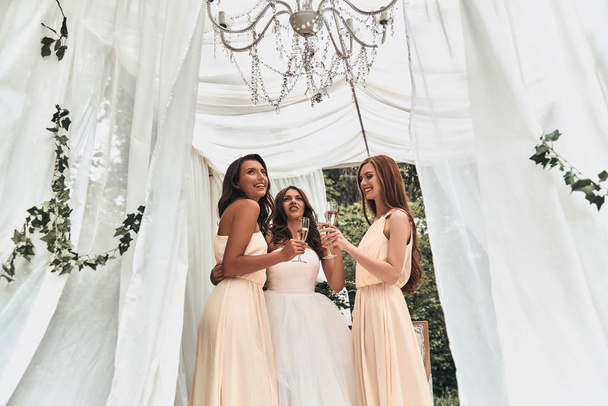 bride with beautiful bridesmaids  - Zdjęcie, obraz