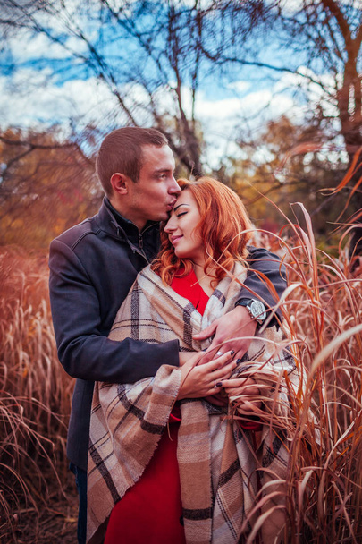 Young couple hugs in autumn forest among high grass - Fotó, kép