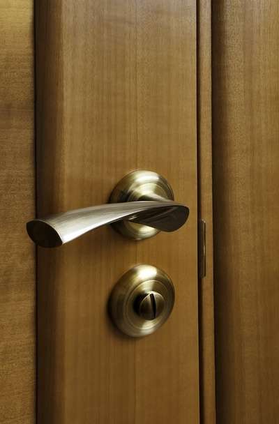 Wooden door with the lock - Fotografie, Obrázek