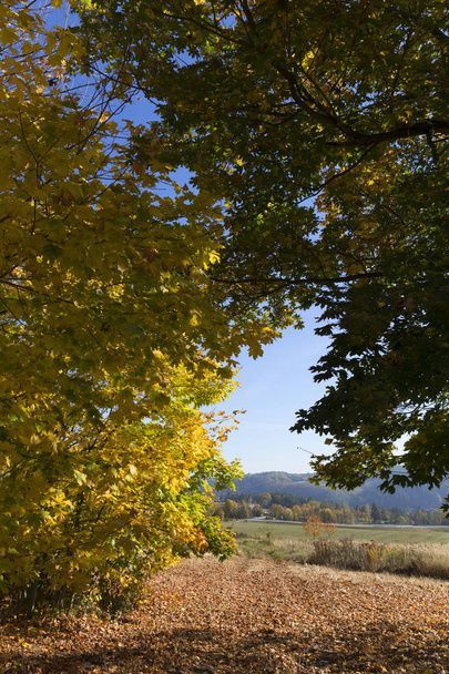 farbenfrohe Herbstsonnenlandschaft aus Mittelböhmen, Tschechische Republik - Foto, Bild
