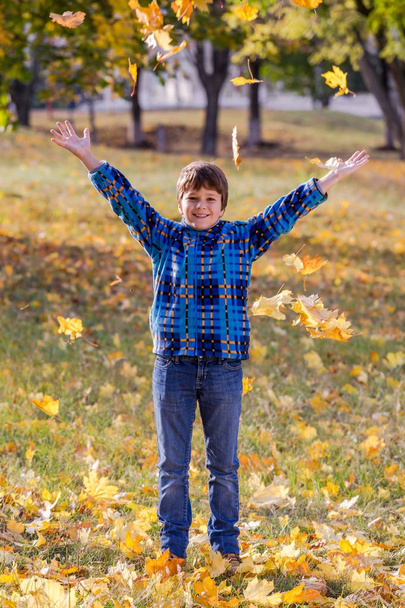 Happy boy throwing autumn leaves on sunny park - Fotografie, Obrázek
