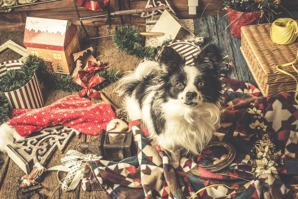Yılbaşı kartları, yaramaz köpek yavrusu köpek - Fotoğraf, Görsel