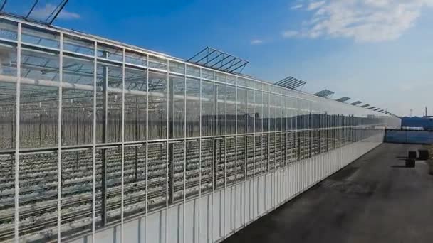 A légi felvétel a üvegházakban zöldség - Felvétel, videó