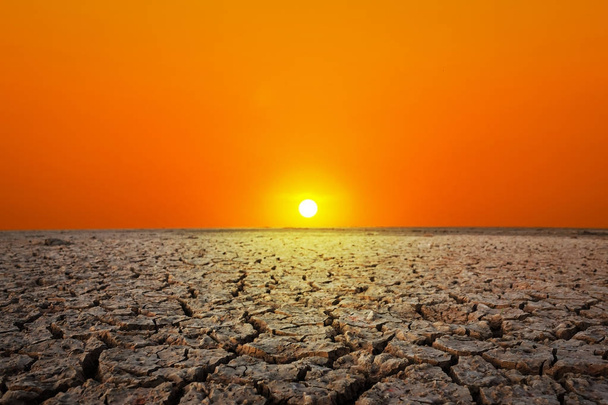 arany naplemente a sivatagban. kiaszott, talaj. - Fotó, kép