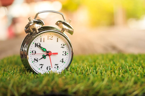 Reloj despertador por la mañana en la hierba
 - Foto, imagen