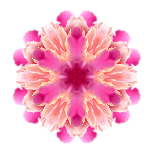 Flower mandala on white background - Фото, изображение