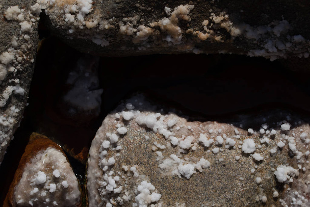 Salz auf Felsen - Foto, Bild
