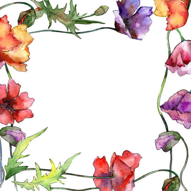 Wildflower poppy flower frame in a watercolor style. - Fotografie, Obrázek