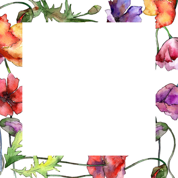 Wildflower poppy flower frame in a watercolor style. - Foto, imagen