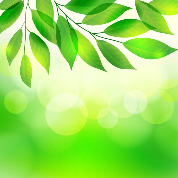Green leaves on bokeh background - Vector, Image