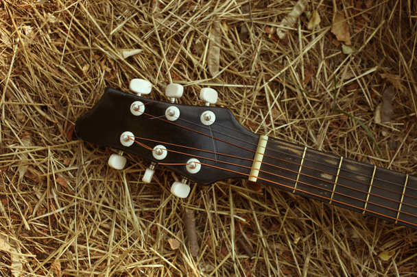 a száraz fű, fekete gitár - Fotó, kép