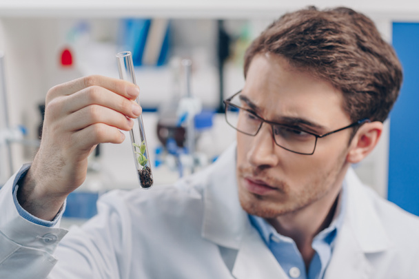 biologist working with plant in flask - Photo, Image
