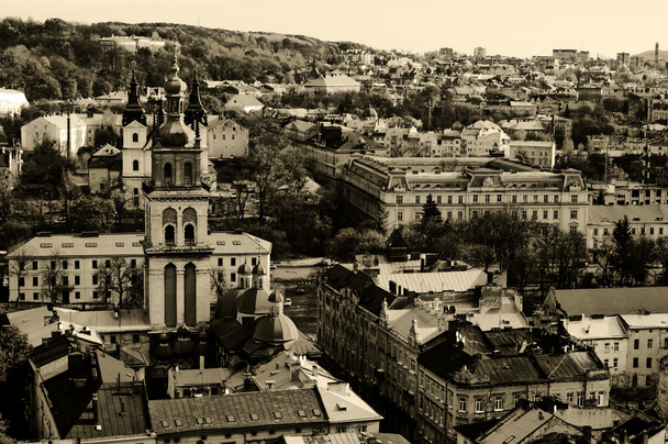View from the Town Hall, Lvov - Zdjęcie, obraz