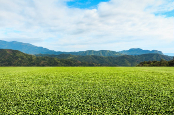 Зеленый газон небо и горный фон
 - Фото, изображение