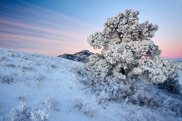 Зими в горах Karkaraly - Фото, зображення