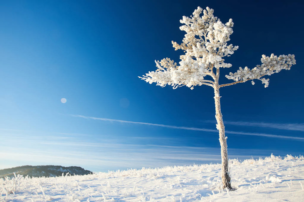 Зима в Каркаралинских горах
 - Фото, изображение