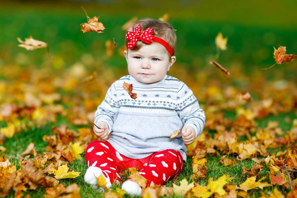 Suloinen pikkutyttö syksyllä puistossa aurinkoisena lämpimänä lokakuun päivänä tammen ja vaahteranlehden kanssa.
 - Valokuva, kuva