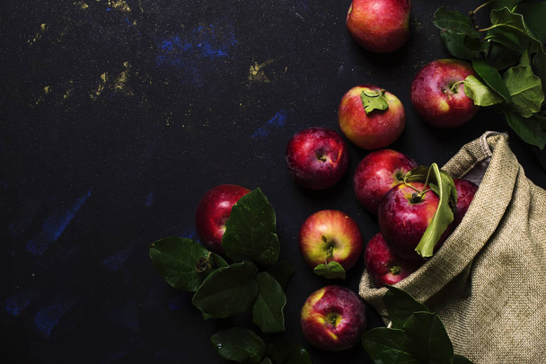 Red apples, autumn harvest - Foto, imagen