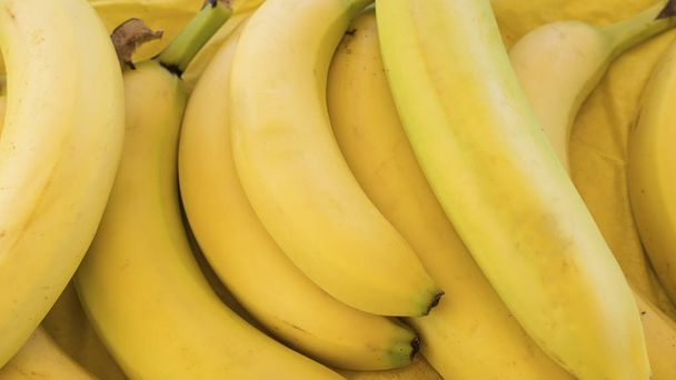 Uma grande quantidade de bananas maduras e saudáveis no mercado do agricultor sob a luz do sol do meio-dia
 - Foto, Imagem