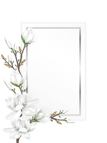 magnolia oksat paperikortilla
 - Vektori, kuva