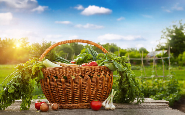 Raw vegetable in wicker basket - Foto, afbeelding
