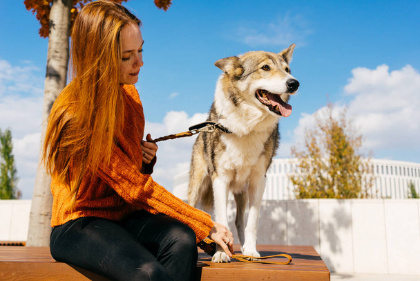 beautiful young red-haired girl walking in the park with her big dog sitting on a wooden bench - Foto, Imagen