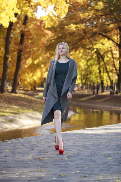 Portrait of a young beautiful woman in gray coat  - Fotografie, Obrázek