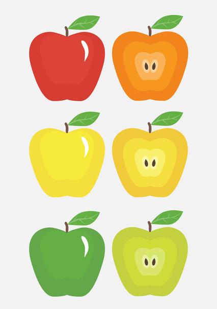 Colored apples beautiful - Vector, Image