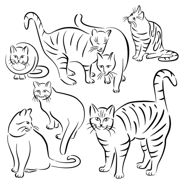  Desenhos de linha de gato _ Set 2
 - Vetor, Imagem