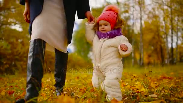 Close-up. A menina faz os primeiros passos nas folhas de outono e segurando uma mão de mães. Steadicam
 - Filmagem, Vídeo