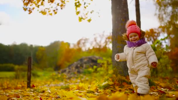 Bambina in abiti autunnali con cappello caldo e sciarpa in piedi nel parco a guardare le foglie gialle cadere dagli alberi. Solleva e separa le foglie dall'albero
. - Filmati, video