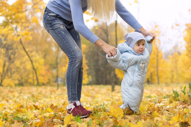 First steps of little kid in autumn park. Mother teaching her cute little son to walk. - Foto, afbeelding