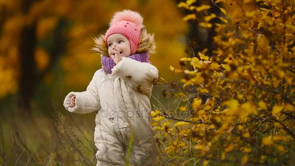 Μικρό κορίτσι σε ρούχα σε ζεστό καπέλο και κασκόλ στέκεται στο πάρκο βλέποντας το κίτρινο φύλλα που πέφτουν από τα δέντρα. Ανελκυστήρες και διαχωρίζει τα φύλλα από το δέντρο. - Πλάνα, βίντεο