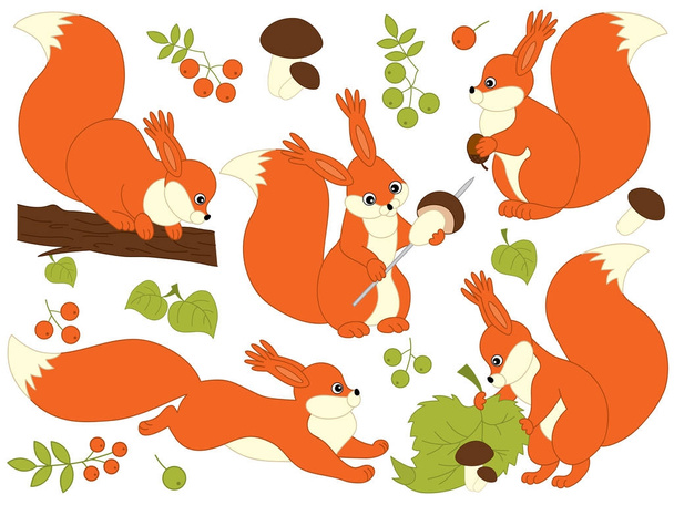 Vector Set of Cute Cartoon Squirrels - Vecteur, image