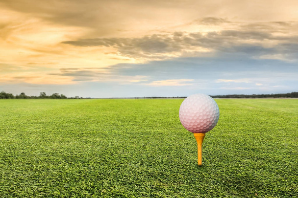 Pelota de golf en T - Foto, Imagen