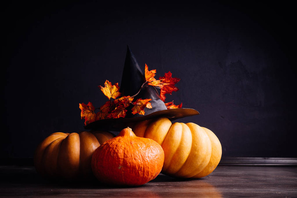 композиция для украшения дома на Хэллоуин, лежат желтые и оранжевые тыквы, большая черная шапка ведьмы украшена осенью желтые листья
 - Фото, изображение