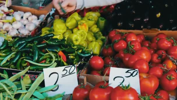 おいしい新鮮なキュウリ トマトとその他野菜の価格タグ市場のカウンター上にあります。 - 映像、動画