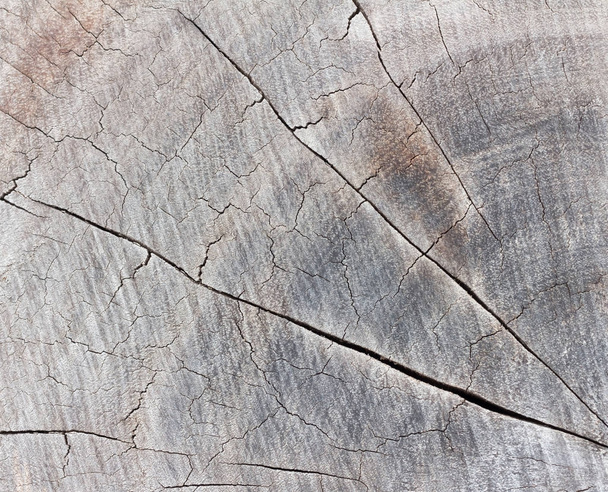 Superfície de fundo da madeira
 - Foto, Imagem