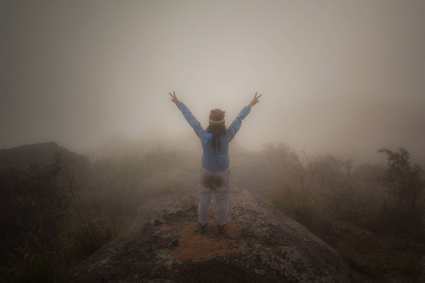 Svoboda ženy stojící na vrcholu Mount  - Fotografie, Obrázek