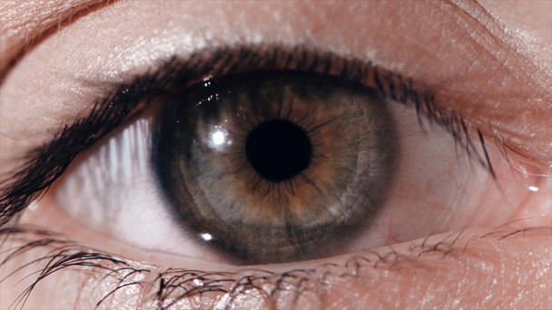 光に目の瞳孔反応。人間の目の目の反応の光フラッシュ アップルで撮影マクロ - 写真・画像