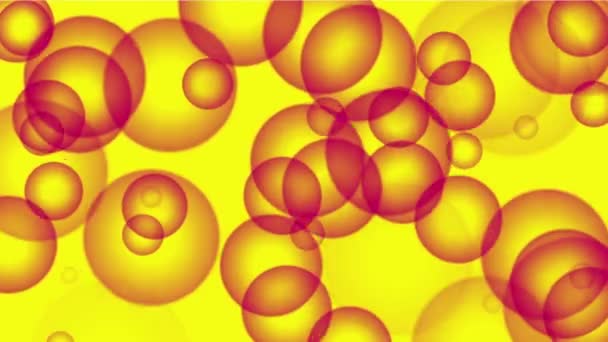 4k пузырь пузыря фона, кольцевые частицы шара, водоросли микроб бактерии точка яйцо
 - Кадры, видео