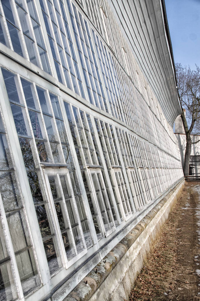 Glass large wall of the historic greenhouse - 写真・画像