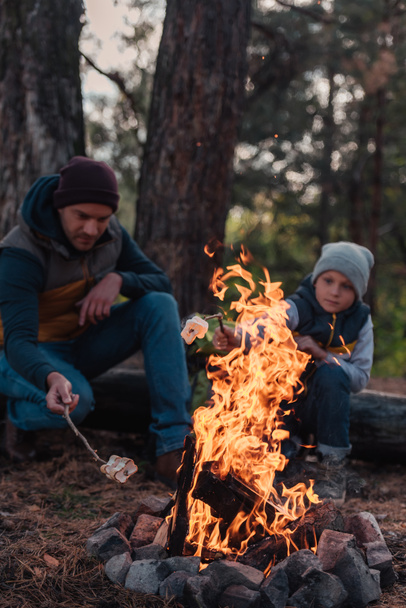 padre e figlio che cucinano marshmallow nella foresta
 - Foto, immagini