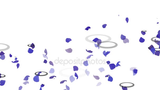 4k Leaves in ripple water,romantic ginkgo particle background,flower petals. - Footage, Video