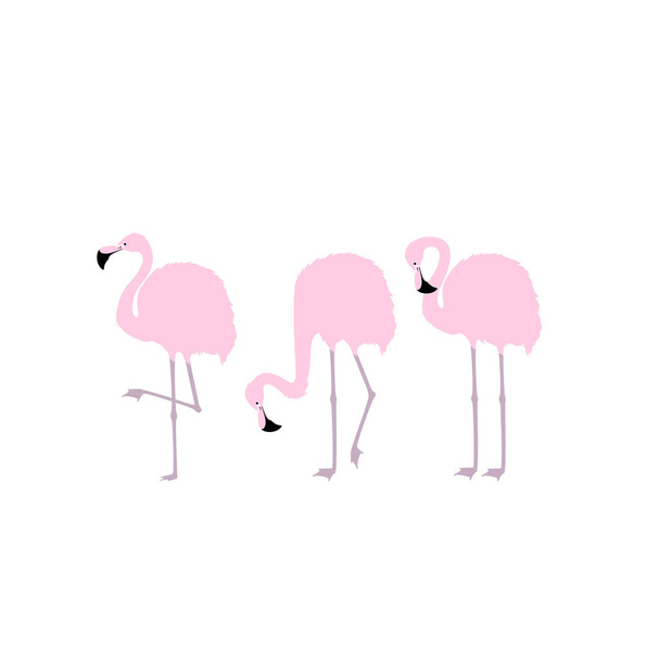 Three pink flamingos. - Vector, Image