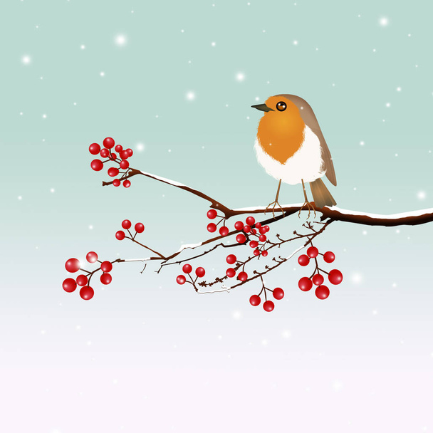 little robin on tree - Foto, Imagem